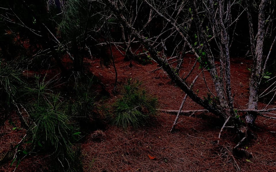 iconoclast article 001