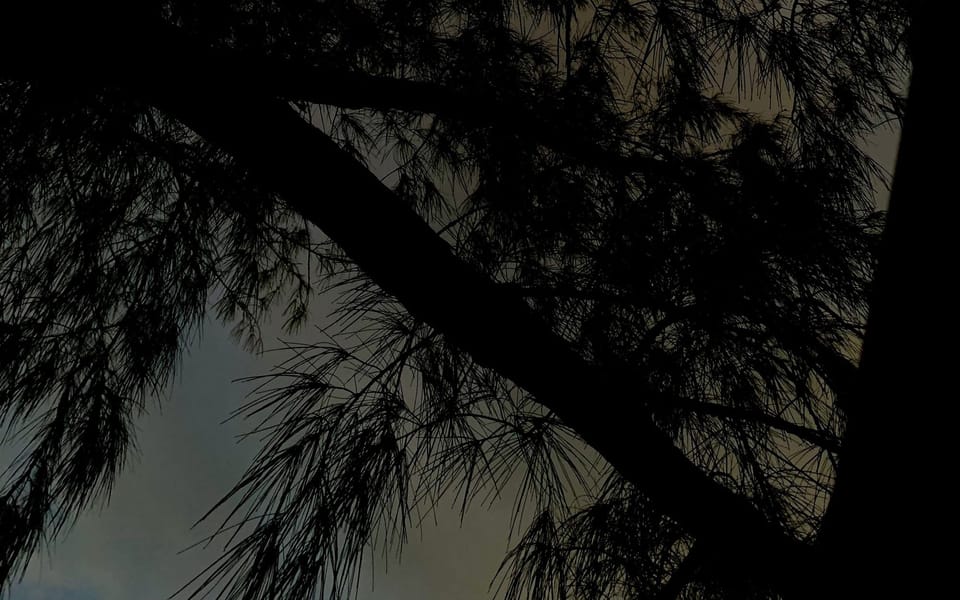 iconoclast article 003