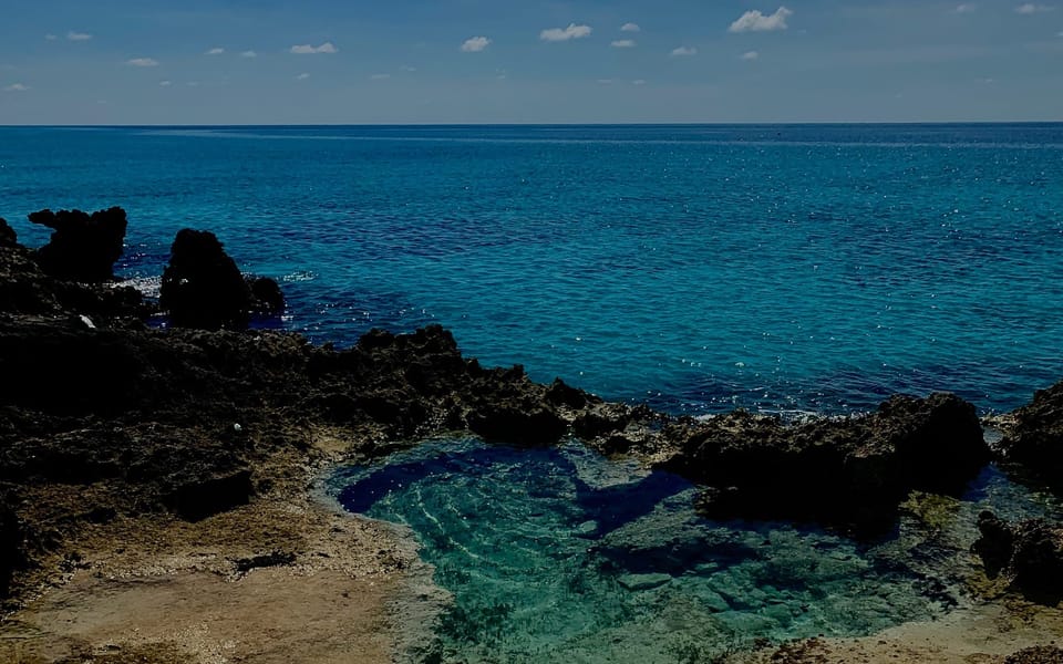 iconoclast article 004