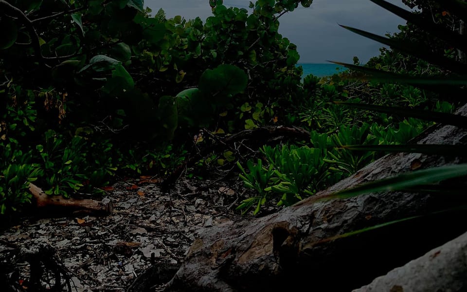 iconoclast article 006