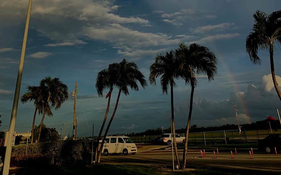 iconoclast article 007