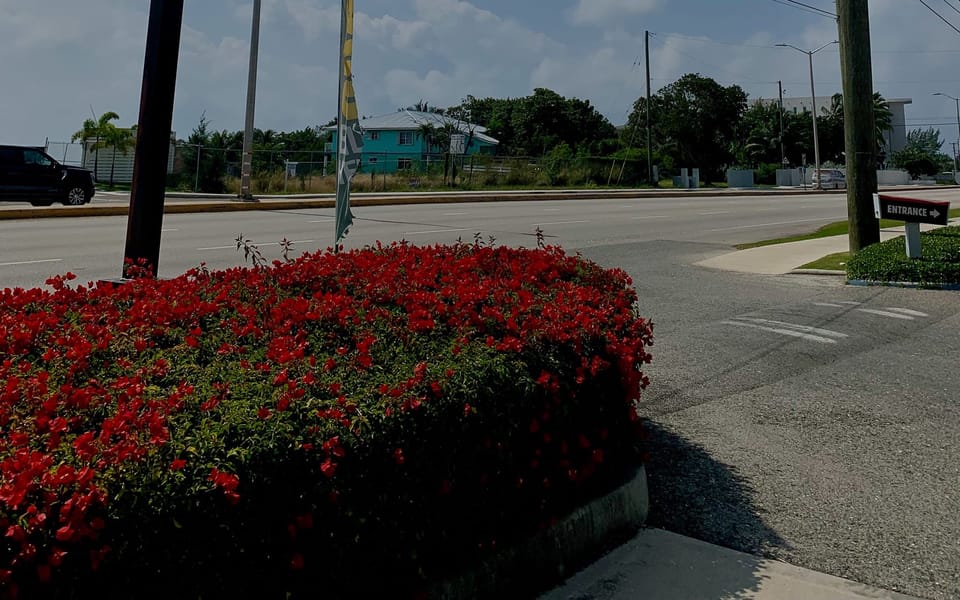 iconoclast article 009