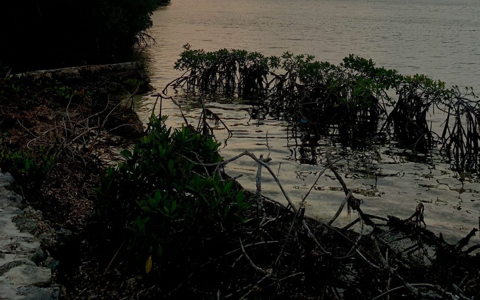 iconoclast article 010