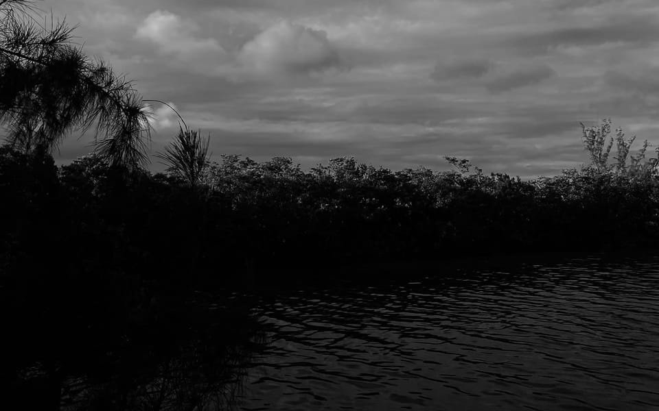 iconoclast article 019