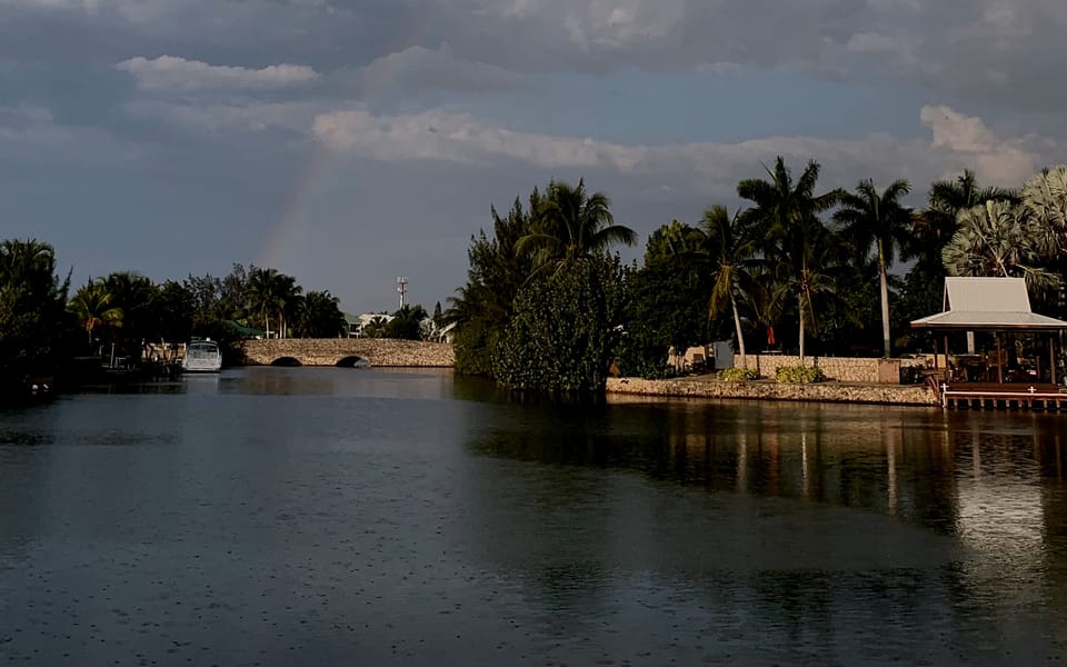 iconoclast article 016