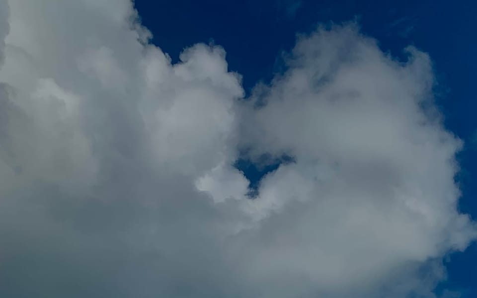 iconoclast article 018