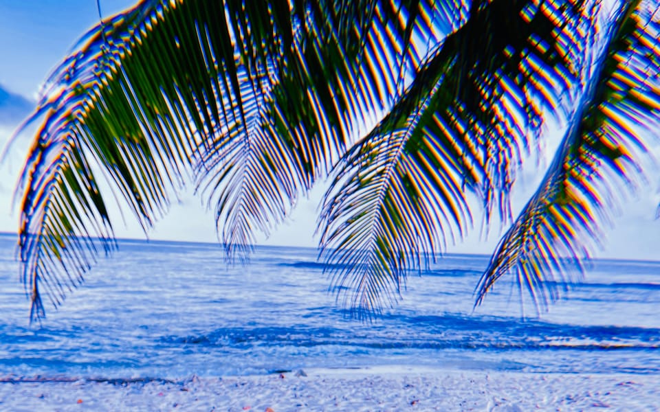 iconoclast article 025