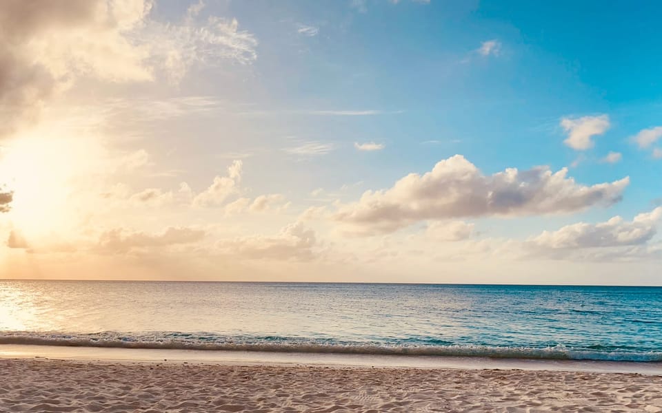 iconoclast article 027