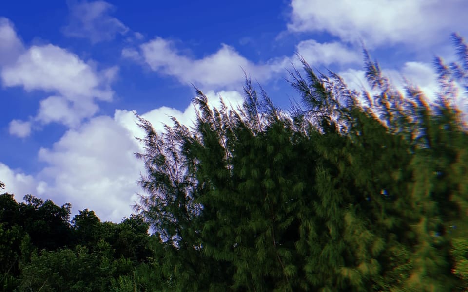 iconoclast article 029