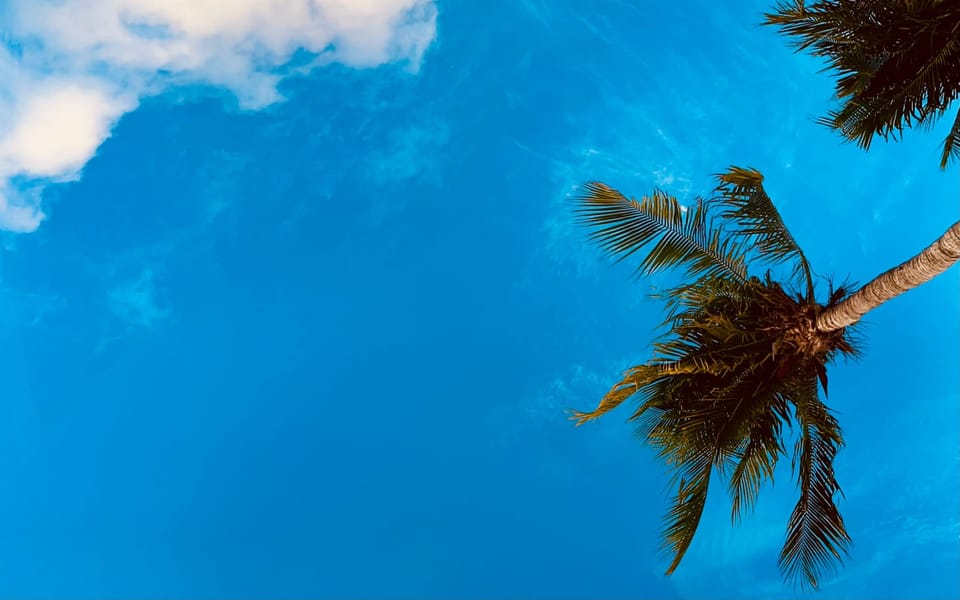 iconoclast article 028